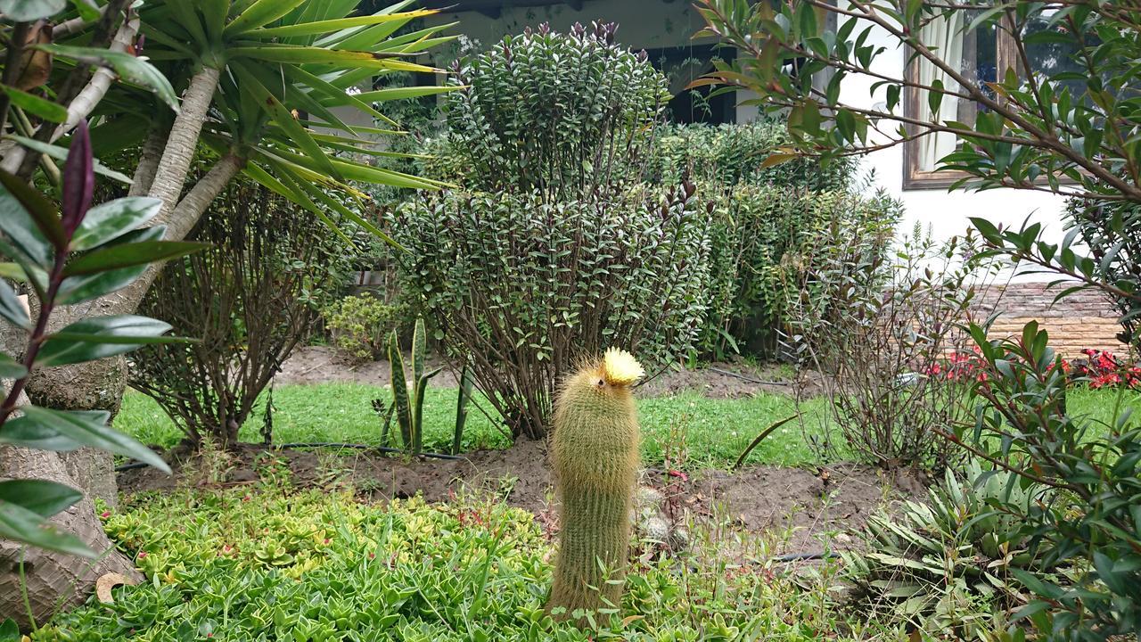 Villa Mimi Otavalo Esterno foto