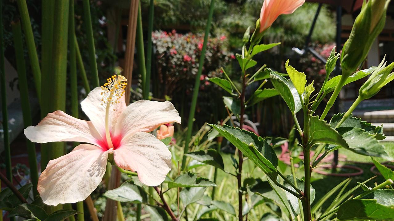 Villa Mimi Otavalo Esterno foto